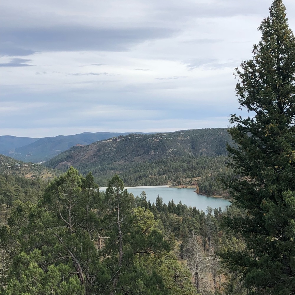 Meet your Posher, Tehmina